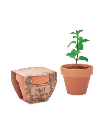 Pot à menthe  personnalisée pas cher - offrez de la fraîcheur