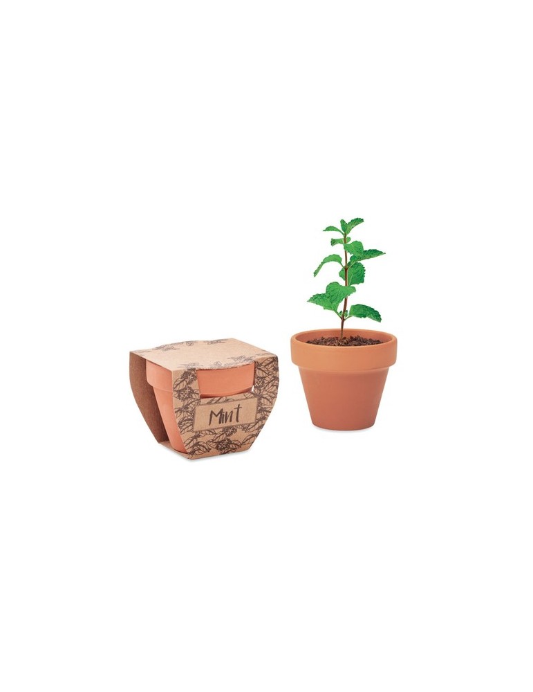 Pot à menthe  personnalisée pas cher - offrez de la fraîcheur