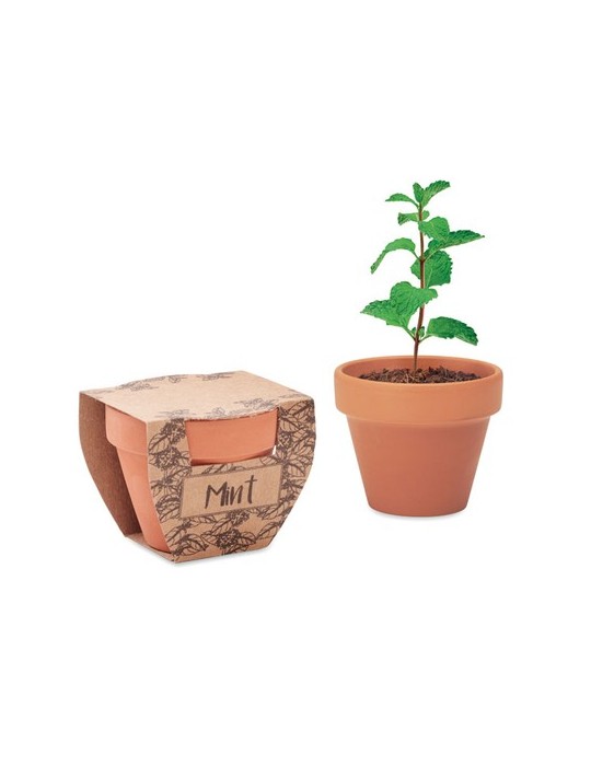 Pot à menthe  personnalisée pas cher - offrez de la fraîcheur