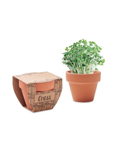 Pot de cresson personnalisé - Cress Pot