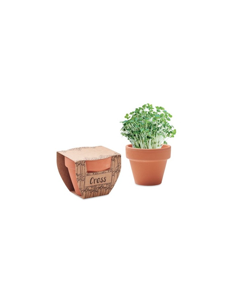 Pot de cresson personnalisé - Cress Pot