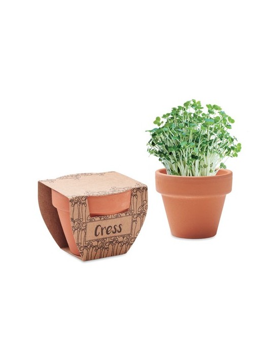 Pot de cresson personnalisé - Cress Pot
