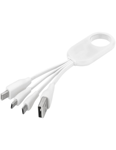 Câble USB multi ports type C 4 en 1 Troup