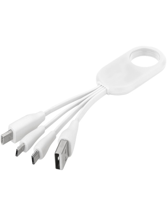 Câble USB multi ports type C 4 en 1 Troup