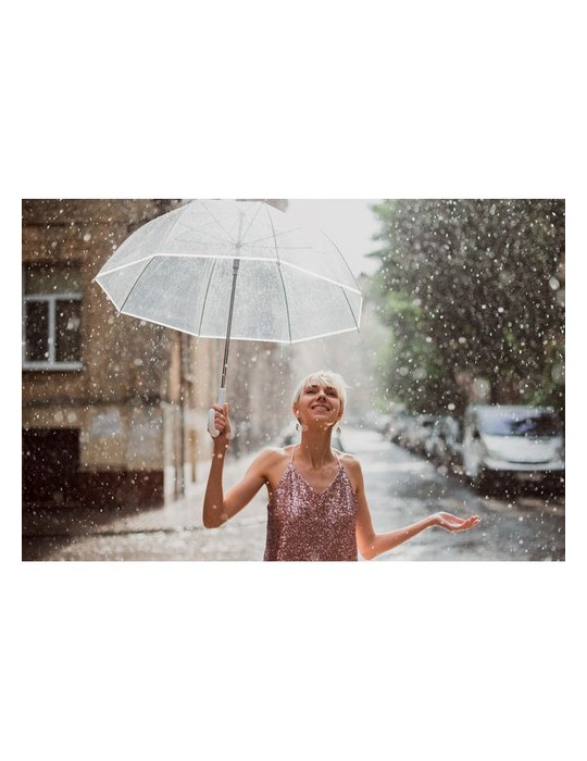 Parapluie personnalisable et pratique - GOTA 23 pouces