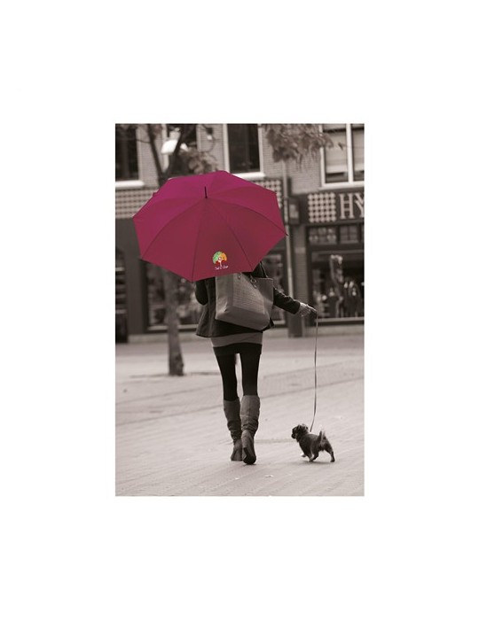 Colorado parapluie 23,5 inch