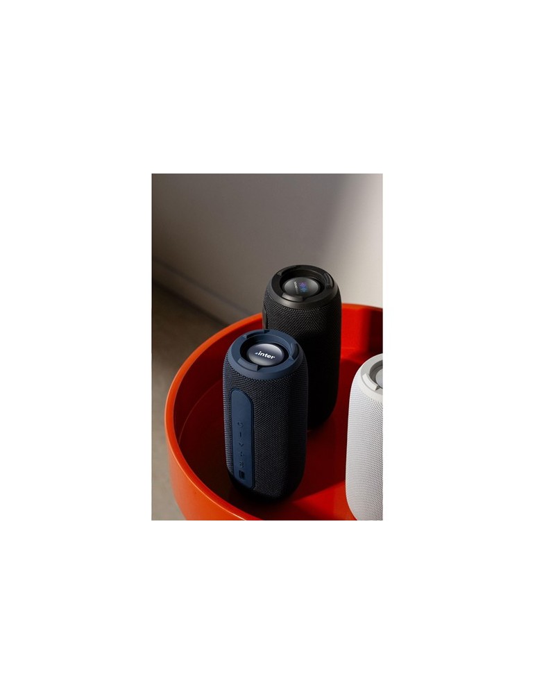 Sudio Bluetooth Speaker F5