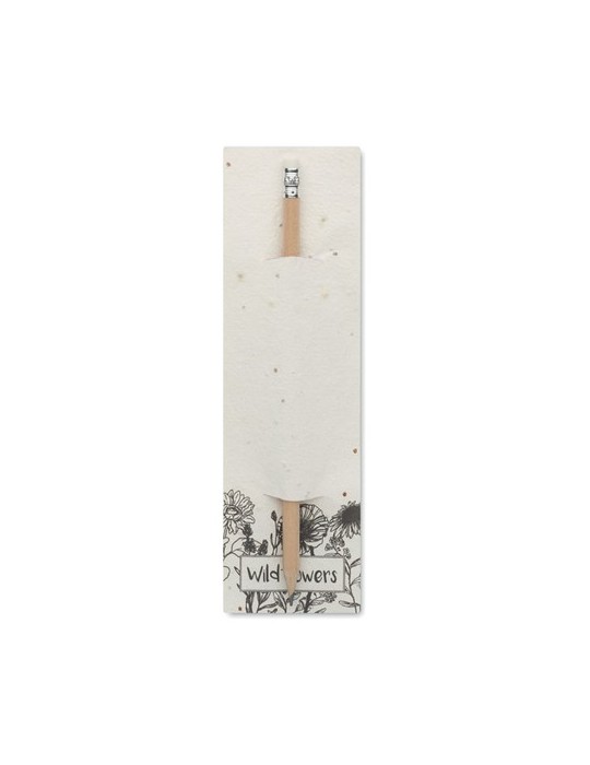 Crayon à Papier et Pratique - PENSEED