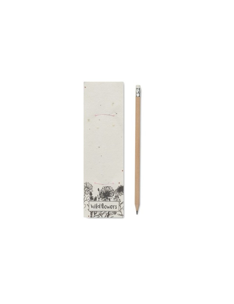 Crayon à Papier et Pratique - PENSEED