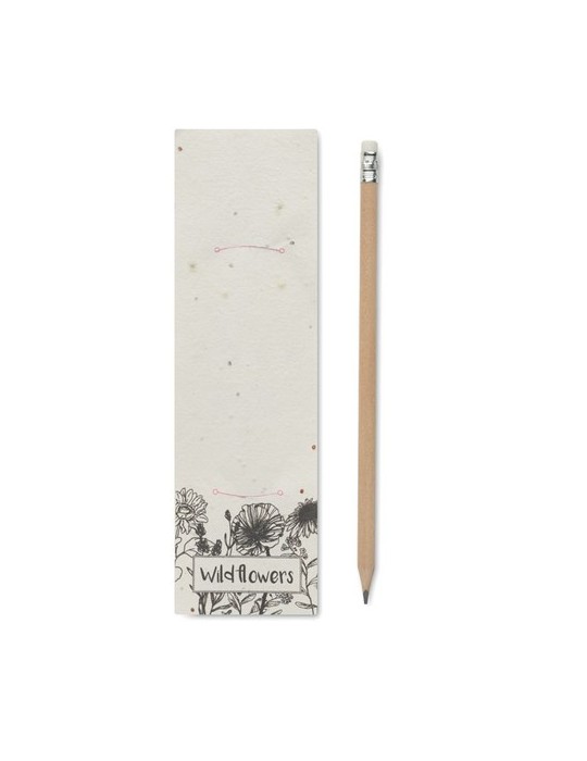 Crayon à Papier et Pratique - PENSEED