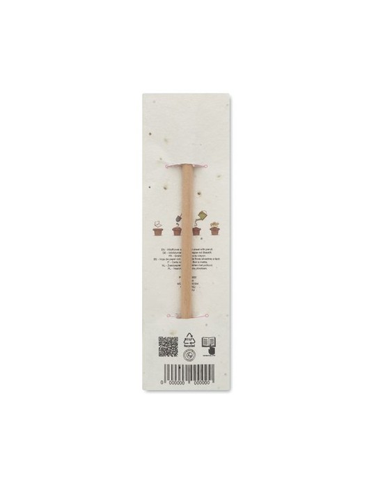 Crayon à Papier et Pratique - PENSEED