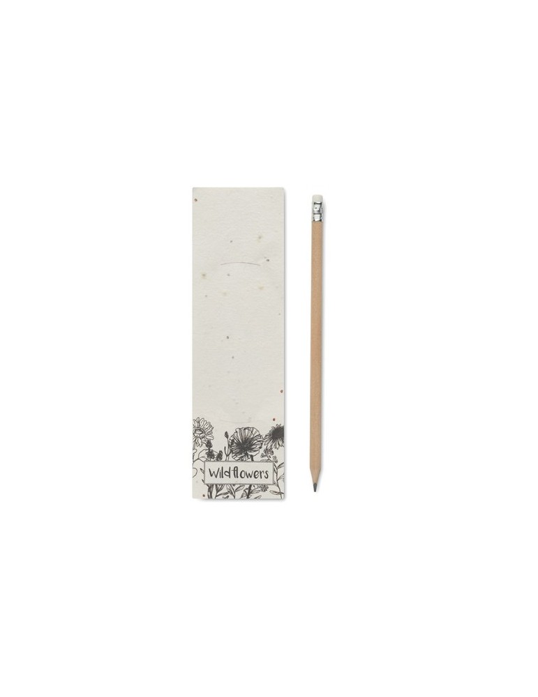 Crayon à Papier et Pratique - PENSEED