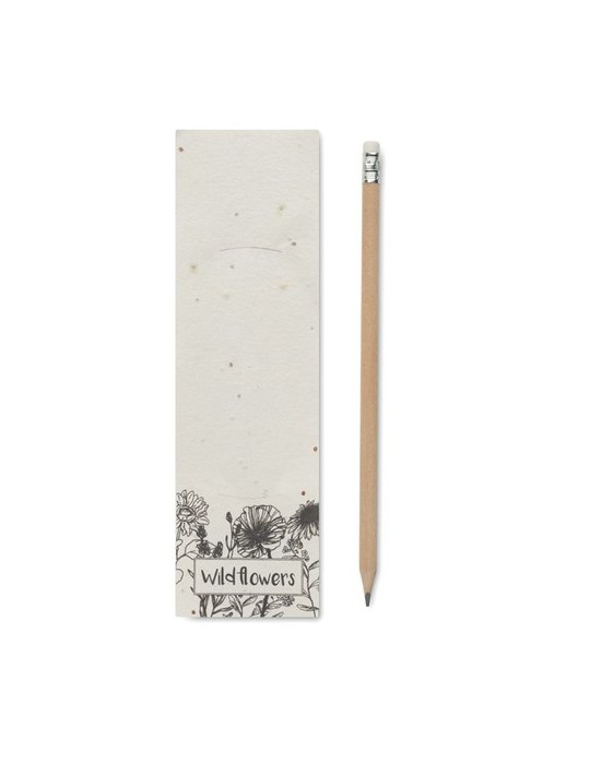Crayon à Papier et Pratique - PENSEED