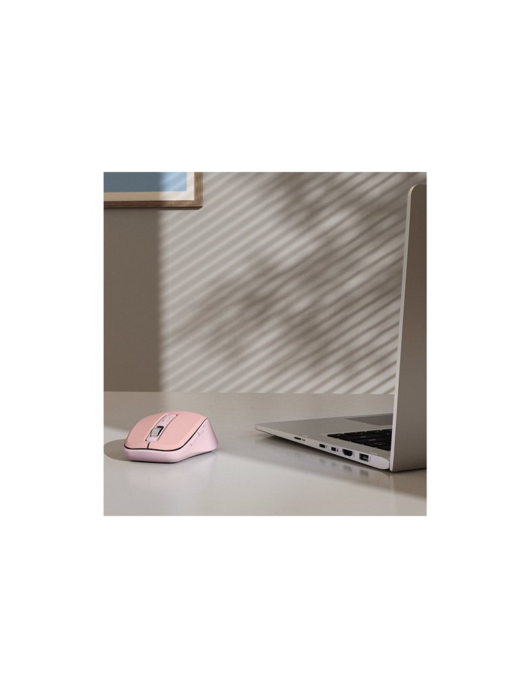 Souris sans fil Hama WM-450