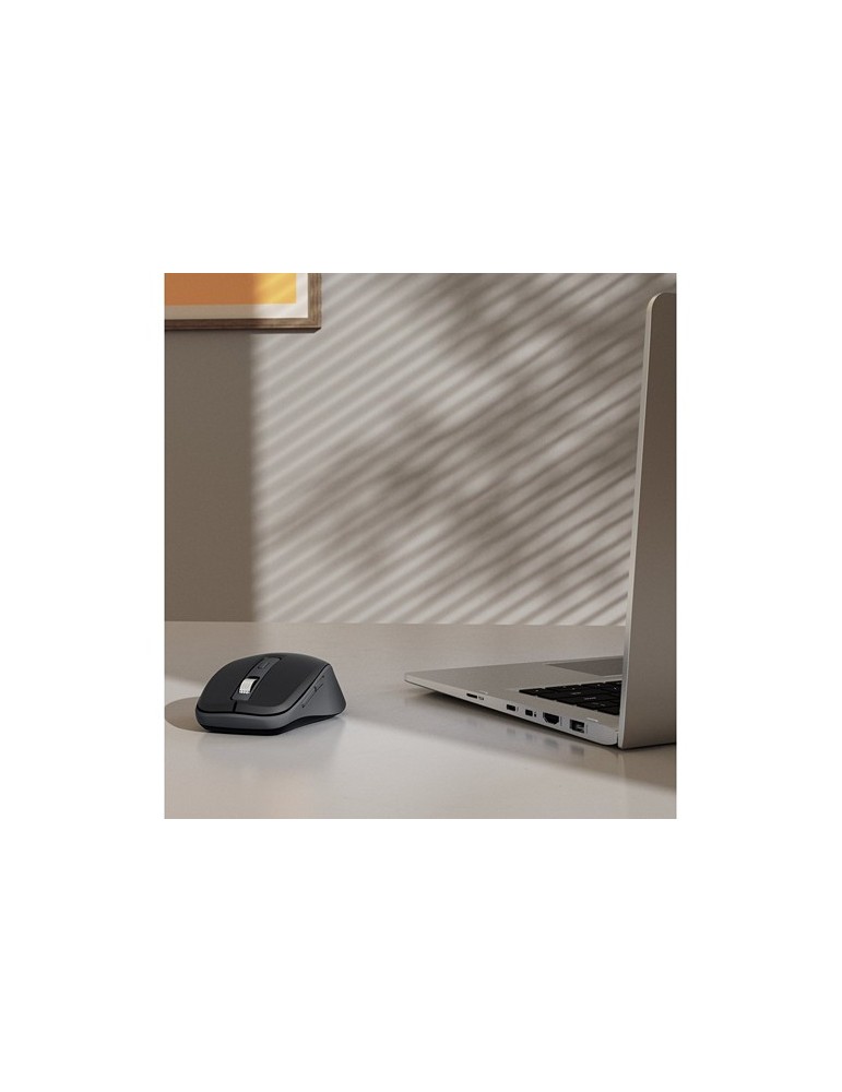 Souris sans fil Hama WM-450