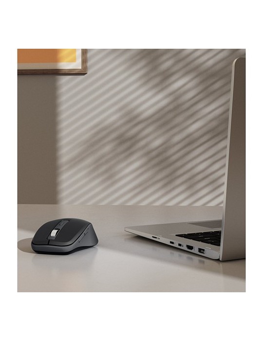 Souris sans fil Hama WM-450