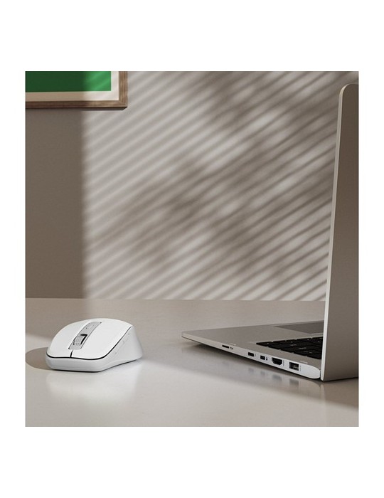 Souris sans fil Hama WM-450