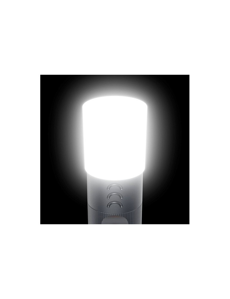 Lampe LED Hama FLX1200