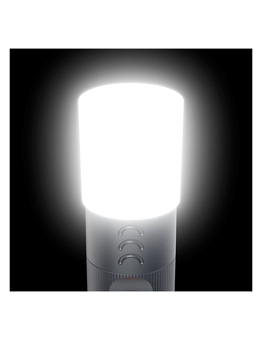 Lampe LED Hama FLX1200