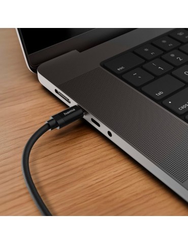 Câble de charge Hama 100W 2