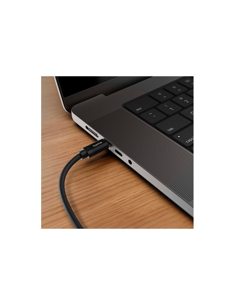 Câble de charge Hama 100W