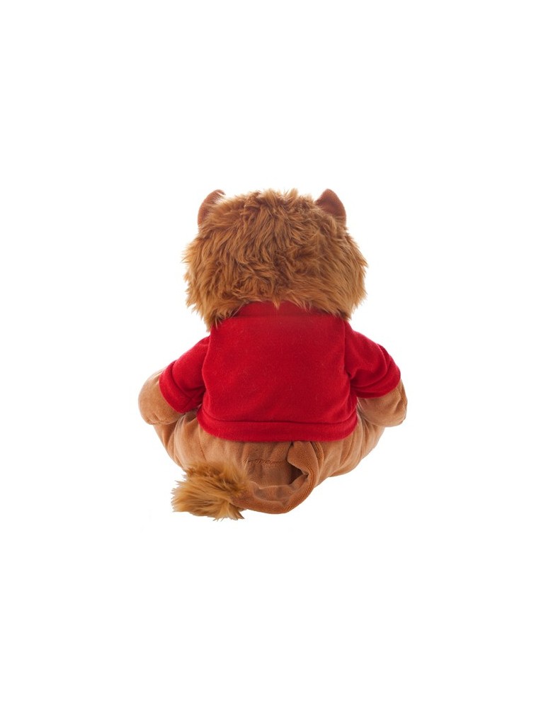 Lion | Richard K