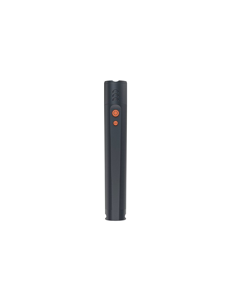 Lampe LED Hama FLX1000