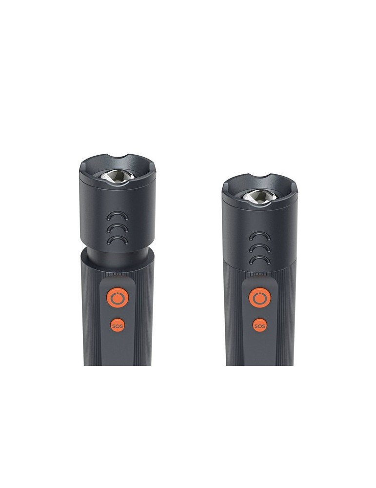 Lampe LED Hama FLX1000