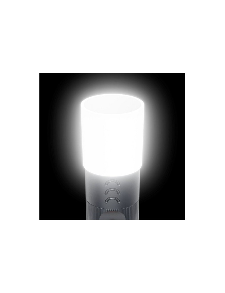 Lampe LED Hama FLX1000