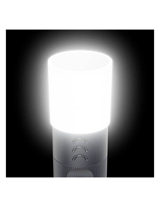 Lampe LED Hama FLX1000