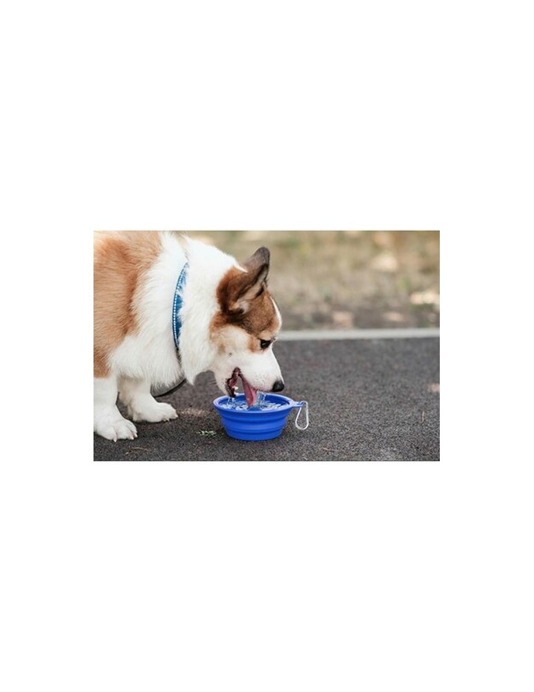 Gamelle pliable pour chien | Platora