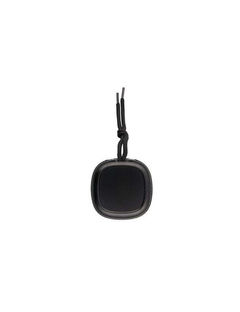 Enceinte sans | Dobrin