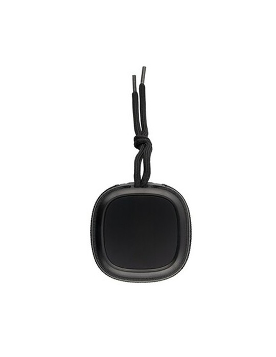 Enceinte sans | Dobrin