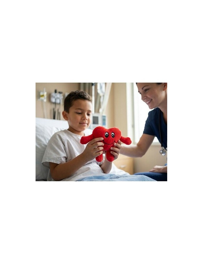 Cœur en peluche | Anmara