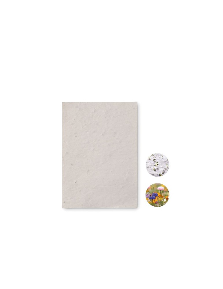 Papier A6 Graines de Fleurs - Personnalisée pas cher ASIDO