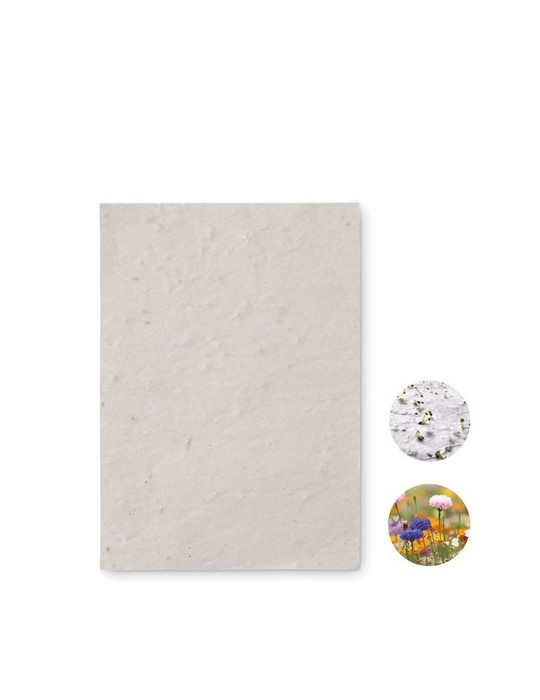 Papier A6 Graines de Fleurs - Personnalisée pas cher ASIDO