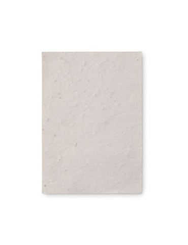 Papier A6 Graines de Fleurs - Personnalisée pas cher ASIDO 2
