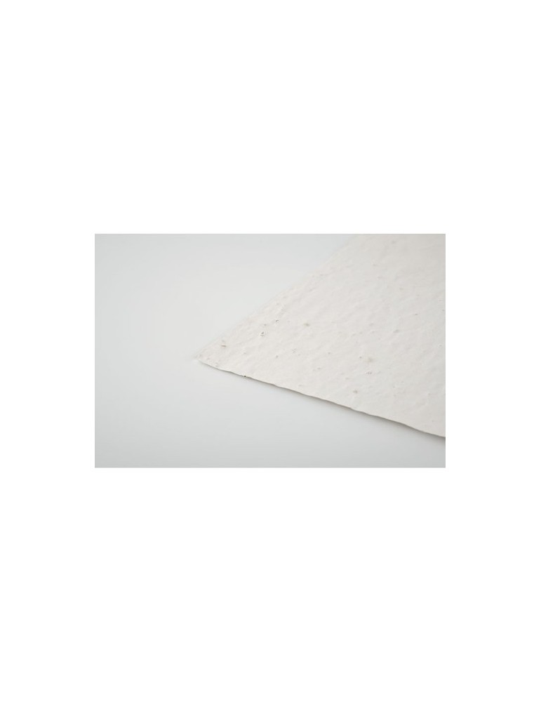 Papier A6 Graines de Fleurs - Personnalisée pas cher ASIDO