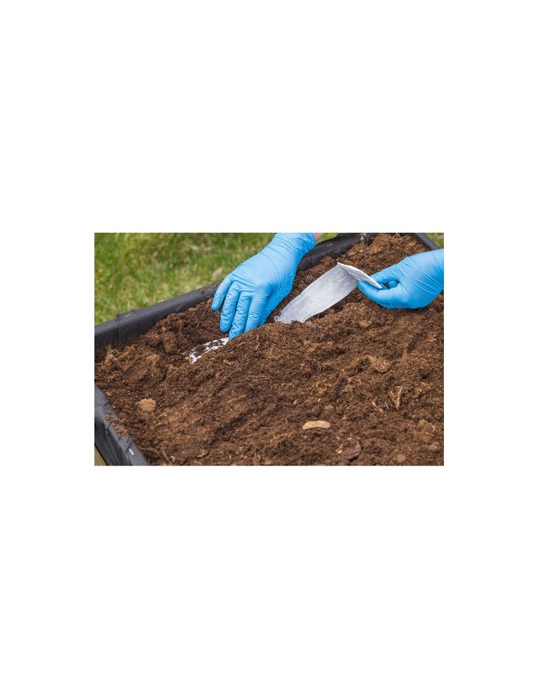 Ruban Graines d'Herbes - 3M Personnalisée pas cher Ecollection