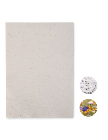 Papier A4 Graines de Fleurs - et Unique Personnalisée pas cher