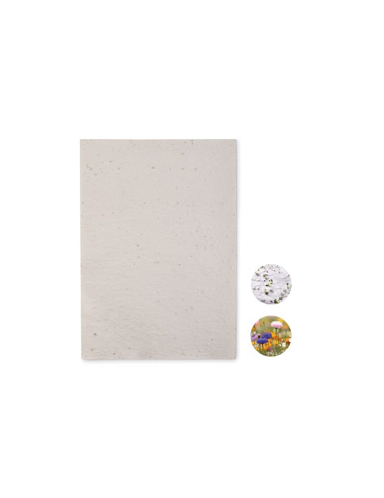 Papier A4 Graines de Fleurs - et Unique Personnalisée pas cher