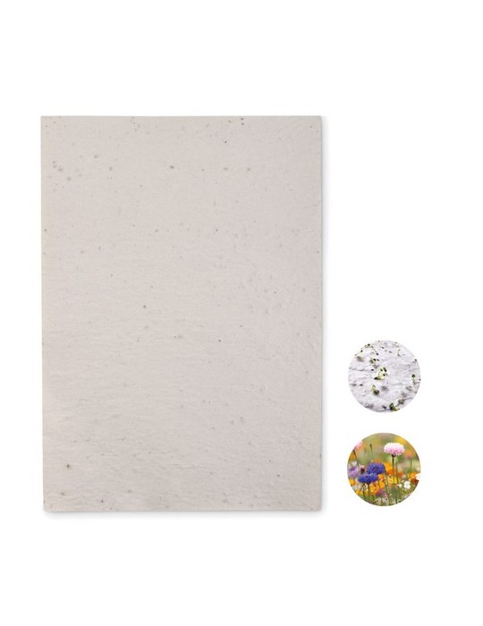 Papier A4 Graines de Fleurs - et Unique Personnalisée pas cher