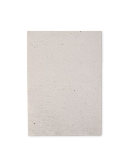 Papier A4 Graines de Fleurs - et Unique Personnalisée pas cher