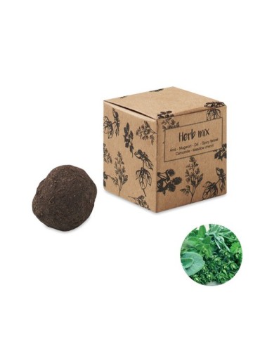 Kit de culture d'herbes aromatiques - Personnalisée pas cher BOMBI III