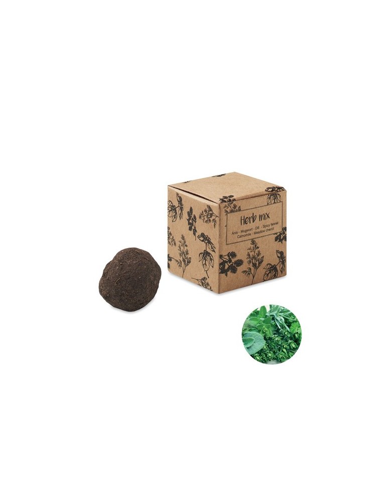 Kit de culture d'herbes aromatiques - Personnalisée pas cher BOMBI III