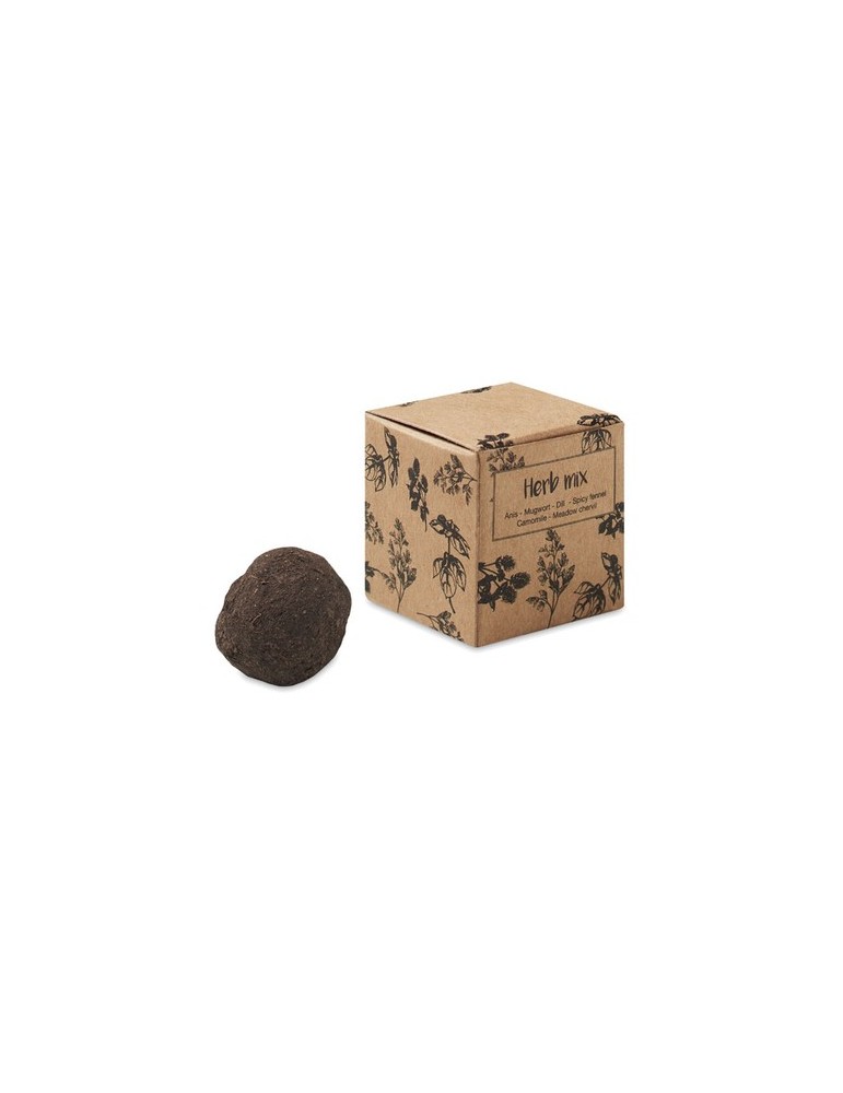 Kit de culture d'herbes aromatiques - Personnalisée pas cher BOMBI III