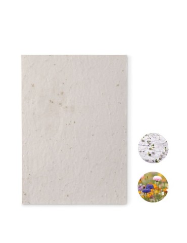 Papier A5 Graines de Fleurs - et Pratique Personnalisée pas cher