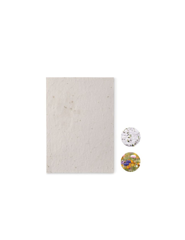 Papier A5 Graines de Fleurs - et Pratique Personnalisée pas cher