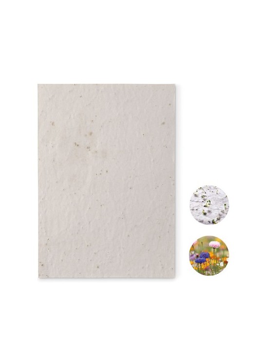 Papier A5 Graines de Fleurs - et Pratique Personnalisée pas cher