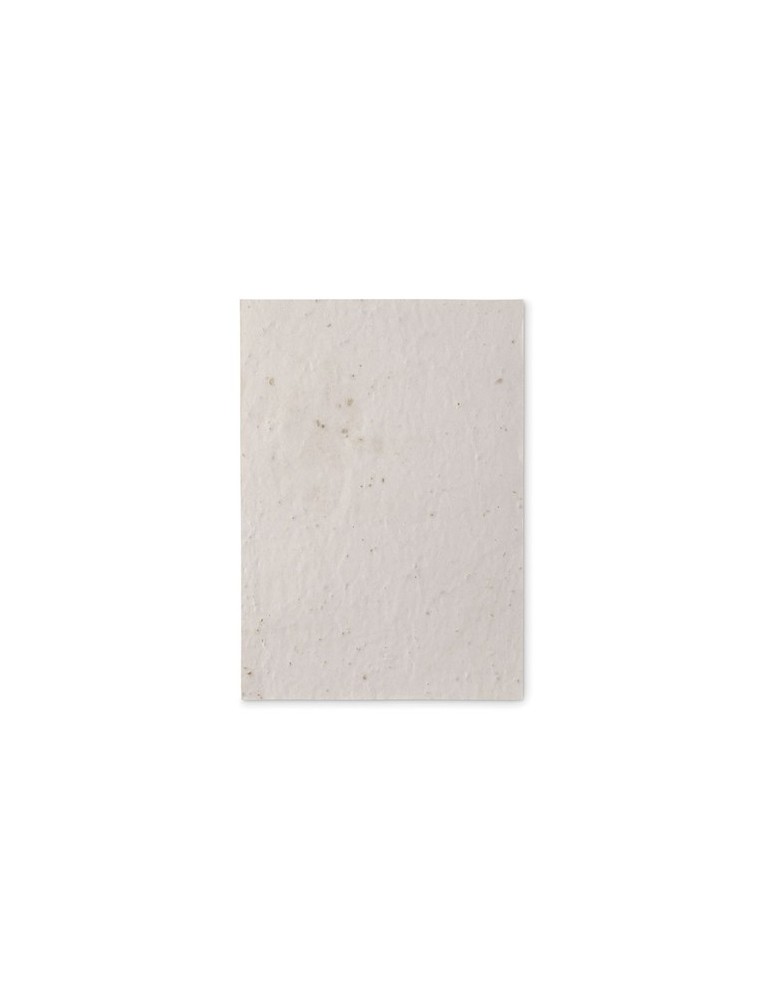 Papier A5 Graines de Fleurs - et Pratique Personnalisée pas cher